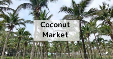 チェンマイ【Coconuts Market】自然豊かな週末マーケット